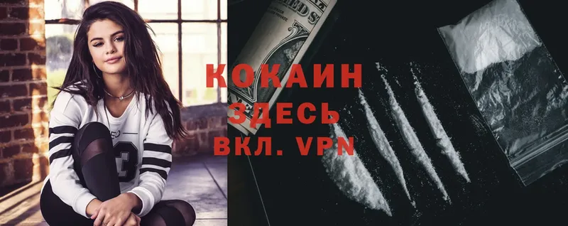 сайты даркнета как зайти  цена   кракен онион  Кинешма  COCAIN Боливия 